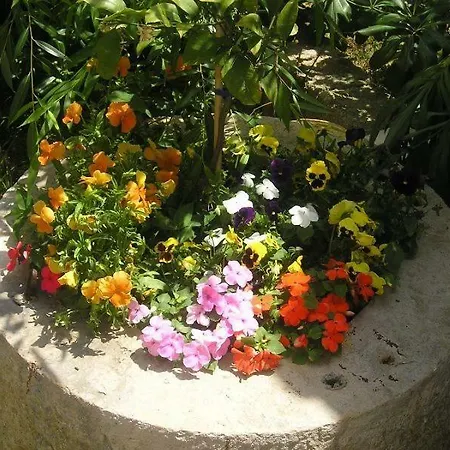 Nika Mali Lošinj