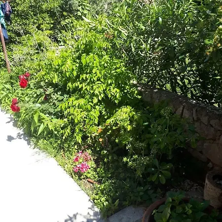 Nika Mali Lošinj